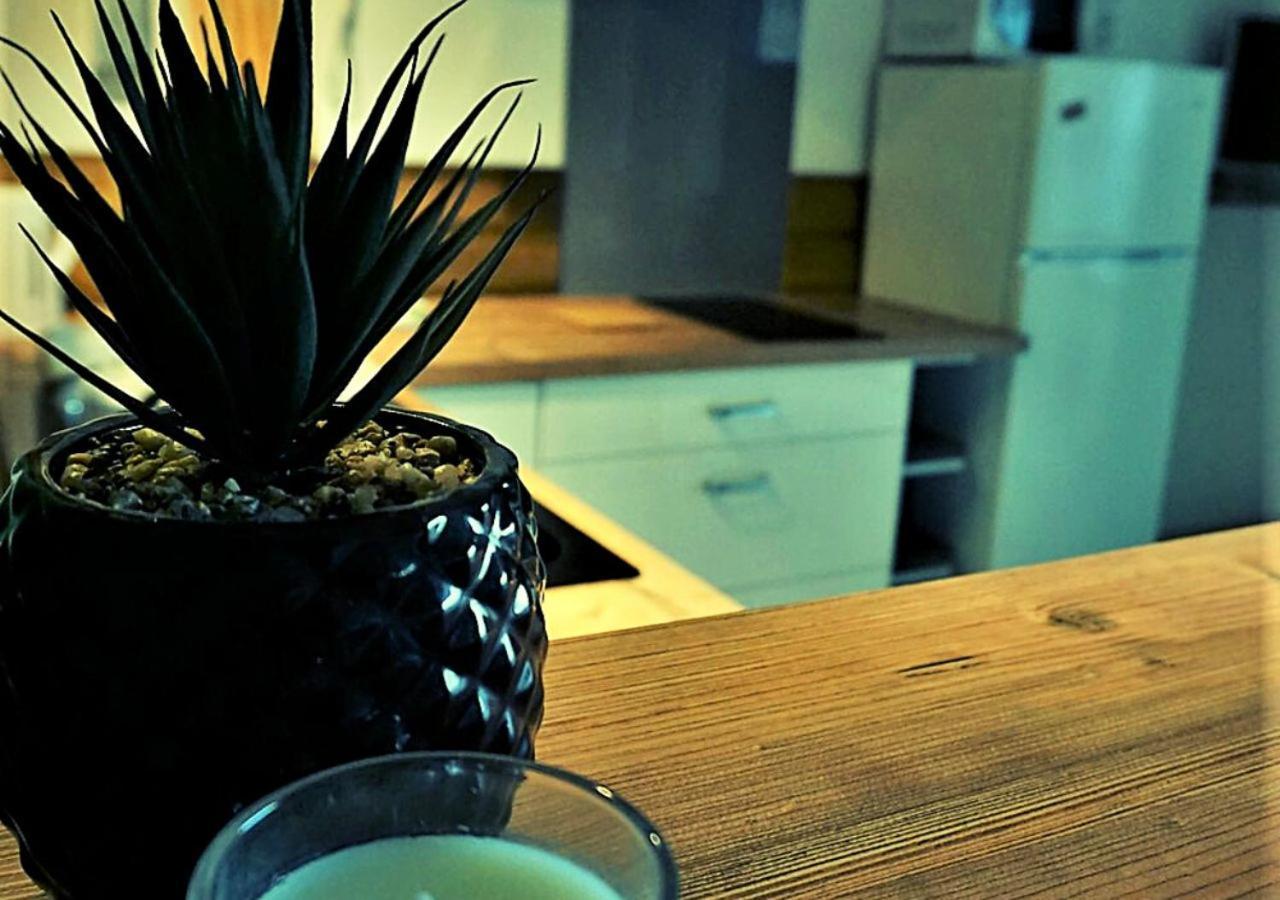 Poe Matie Cosy Studio Papeete, Entre Mer Et Montagne, Proche Centre Ville Papeete  Ngoại thất bức ảnh